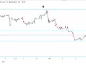 برنامه های پر کردن مجدد ذخایر استراتژیک ایالات متحده، نفت WTI و برنت را افزایش می دهد.