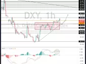 شاخص دلار تایید می کند که DXY دوباره کنترل بازار را در دست دارد، هدف بعدی 106.52 است